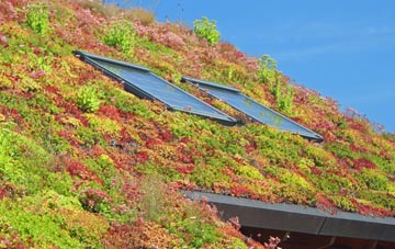 Mays Green living roof systems